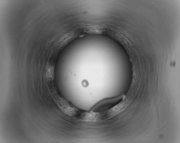 X0000100980096200806241554