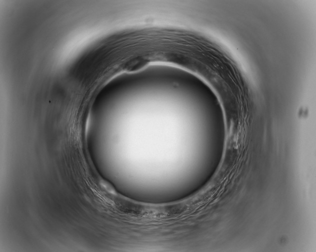 X0000100980099200806241553