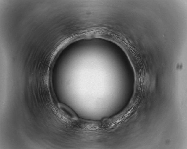 X0000100980100200806241553