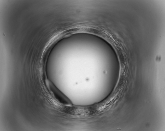 X0000100980101200806241553