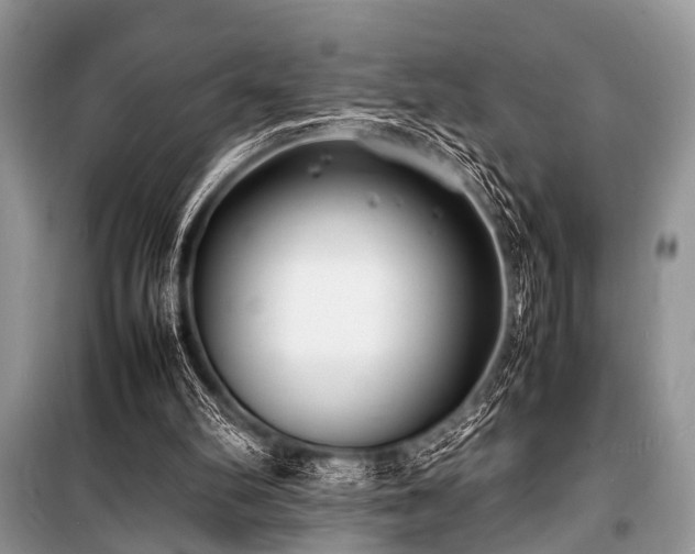 X0000100980102200806241553