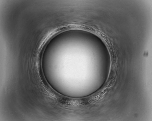 X0000100980103200806241553