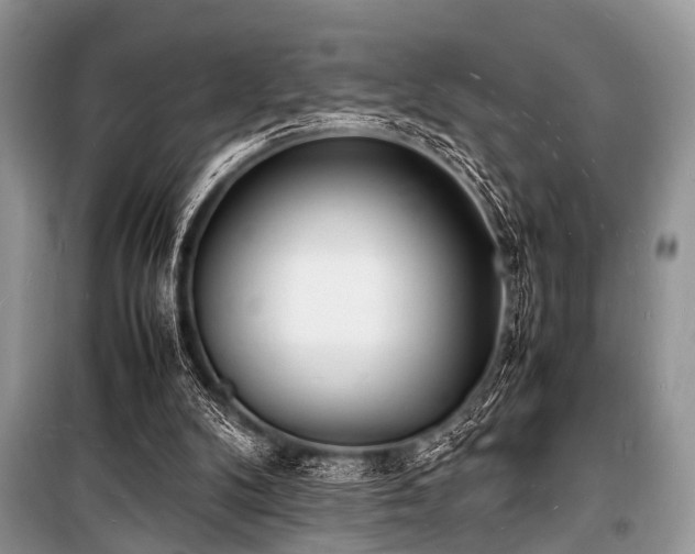 X0000100980104200806241553