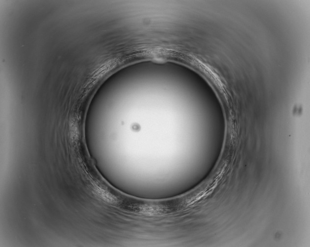 X0000100980105200806241553