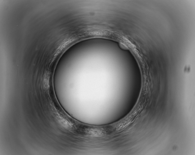 X0000100980106200806241553