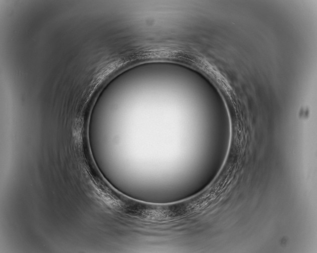 X0000100980107200806241553