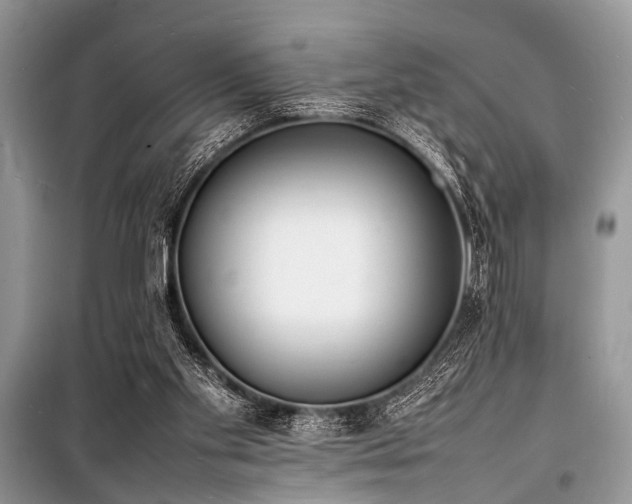 X0000100980109200806241553