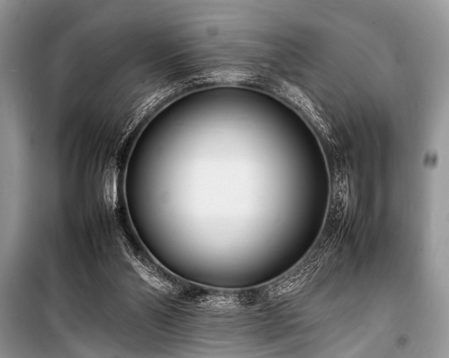 X0000100980110200806241553