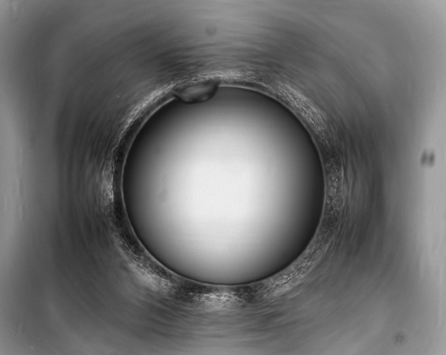 X0000100980112200806241553