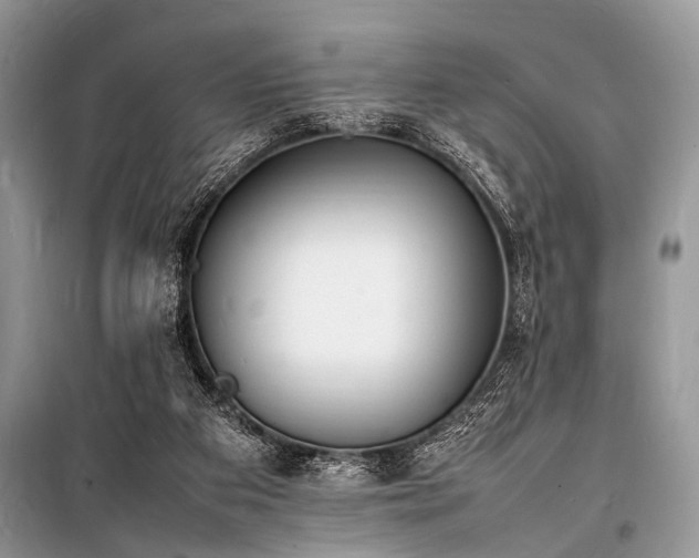 X0000100980113200806241553