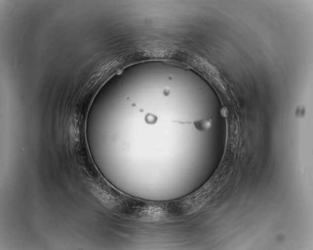 X0000100980114200806241553