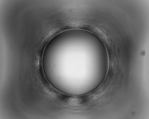 X0000100980115200806241553