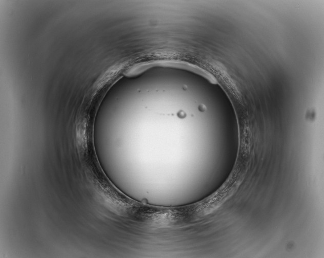 X0000100980116200806241553