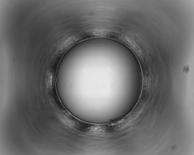 X0000100980117200806241553