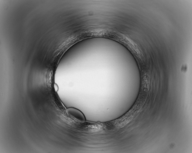 X0000100980118200806241553