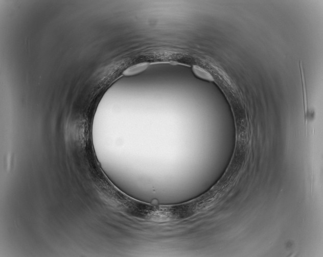 X0000100980119200806241553