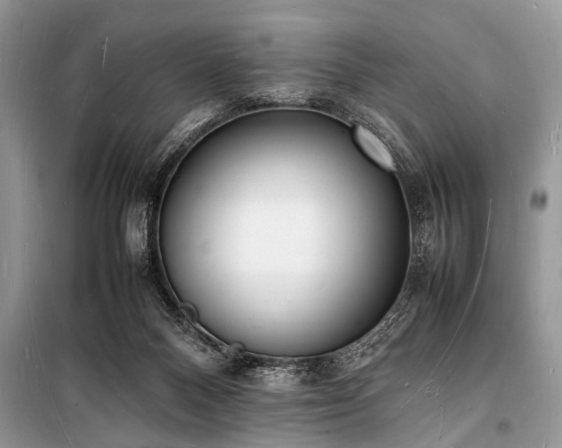 X0000100980120200806241553