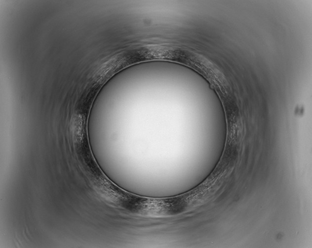 X0000100980121200806241553