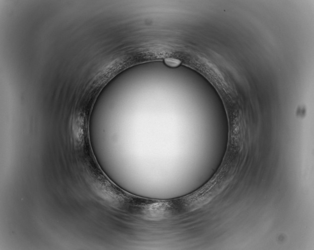 X0000100980122200806241553