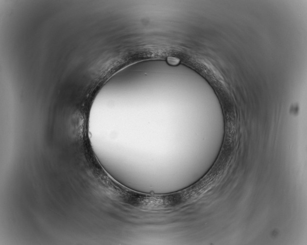 X0000100980123200806241553