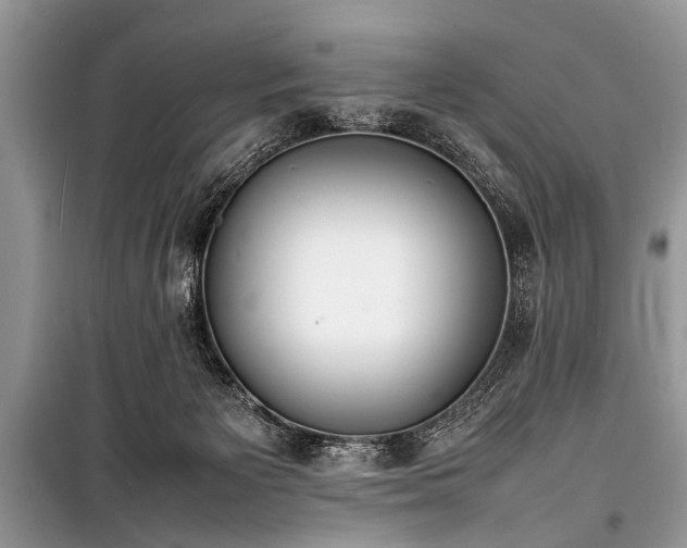 X0000100980125200806241553