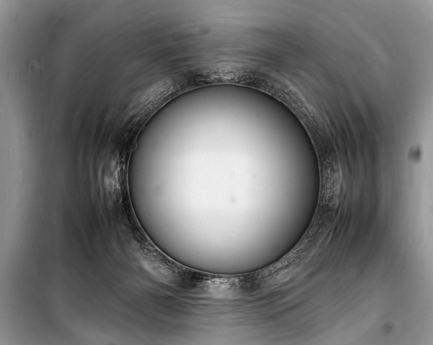 X0000100980126200806241553