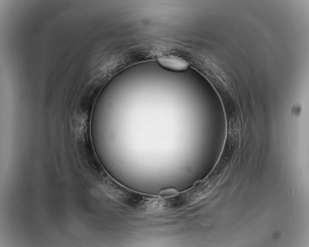 X0000100980127200806241553