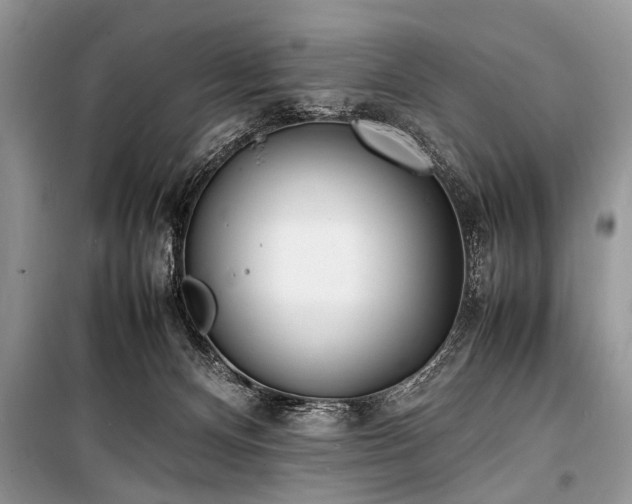 X0000100980128200806241553