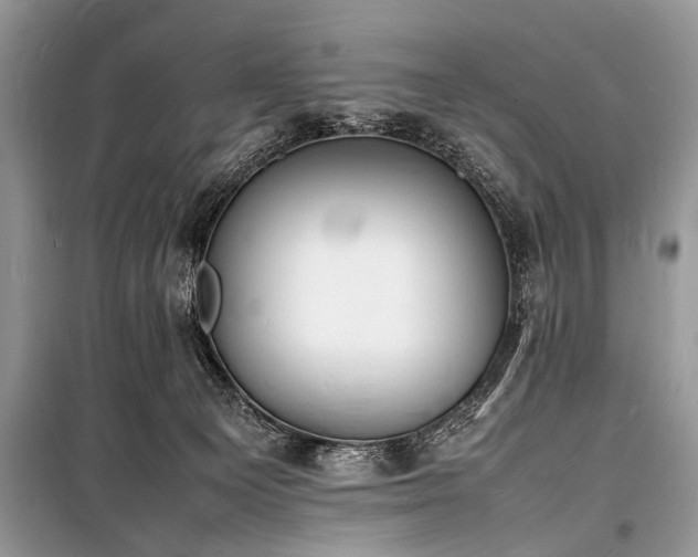 X0000100980129200806241552