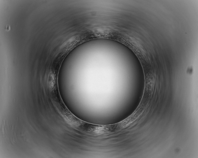 X0000100980130200806241552