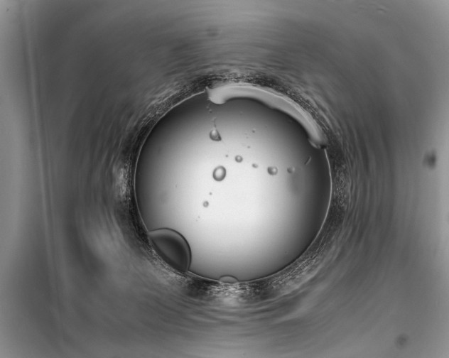 X0000100980131200806241552