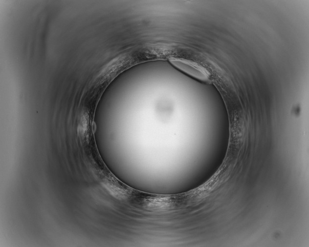 X0000100980132200806241552