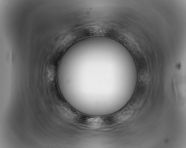 X0000100980133200806241552