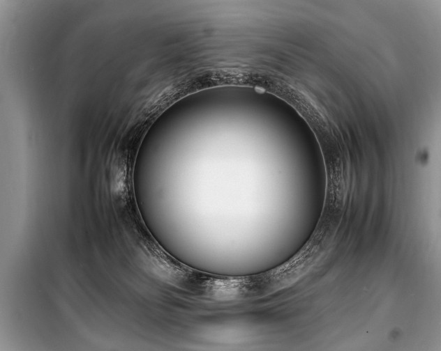 X0000100980134200806241552