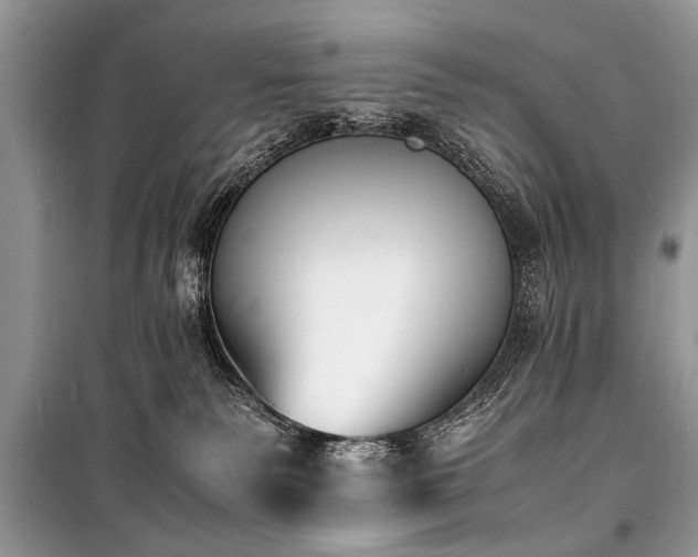 X0000100980135200806241552