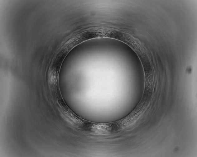 X0000100980137200806241552