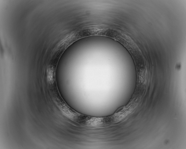 X0000100980138200806241552