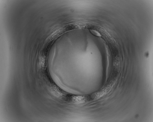 X0000100980139200806241552