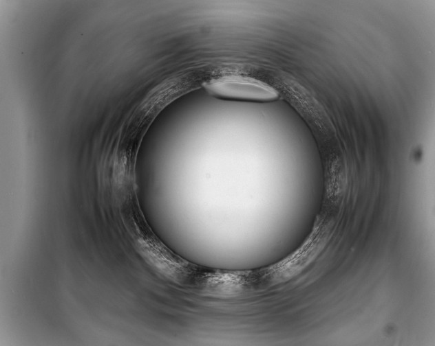 X0000100980140200806241552