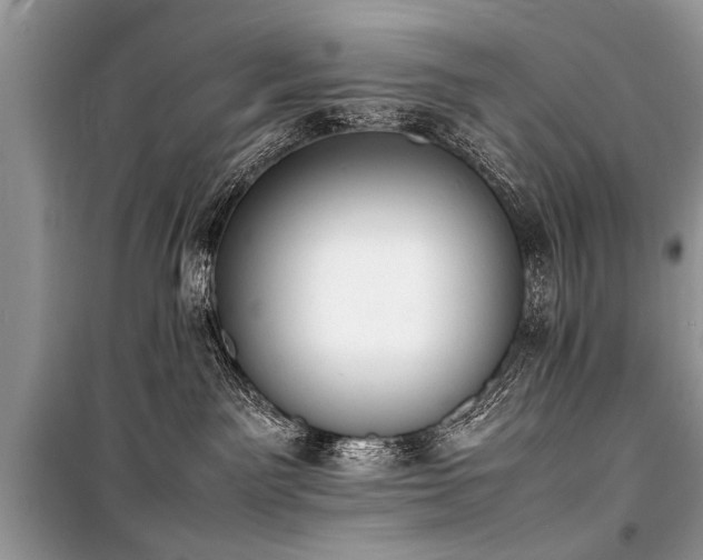 X0000100980141200806241552