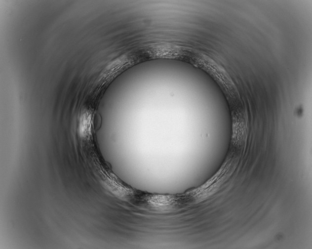 X0000100980142200806241552