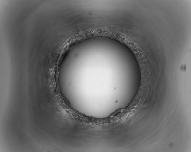 X0000100980144200806241552