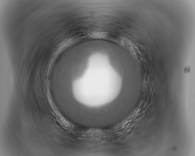 X0000100980145200806241552