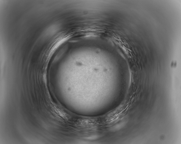 X0000100980147200806241552