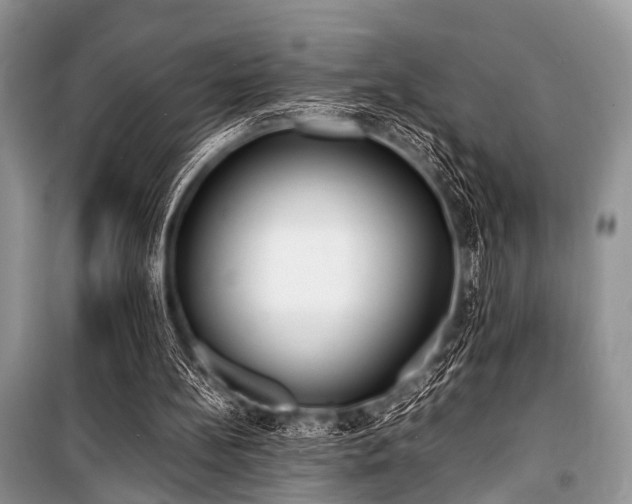 X0000100980148200806241552