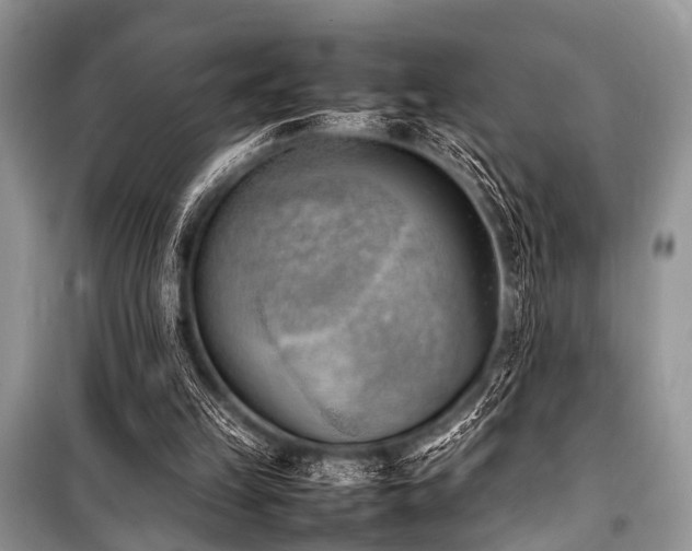 X0000100980149200806241552