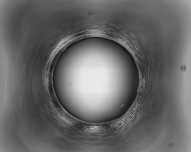 X0000100980151200806241552