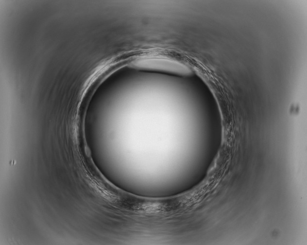 X0000100980152200806241552