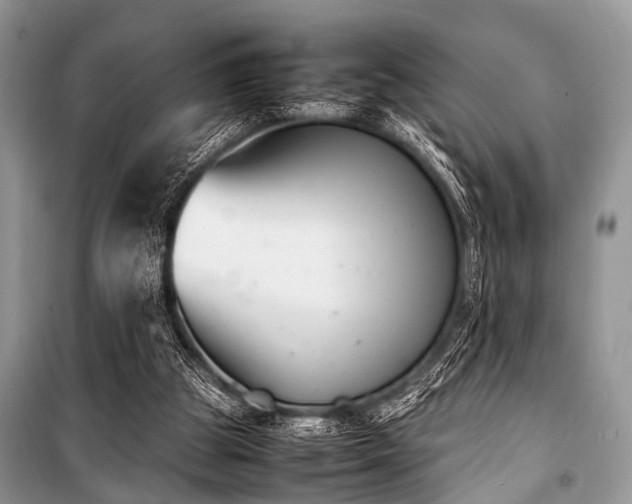 X0000100980153200806241552