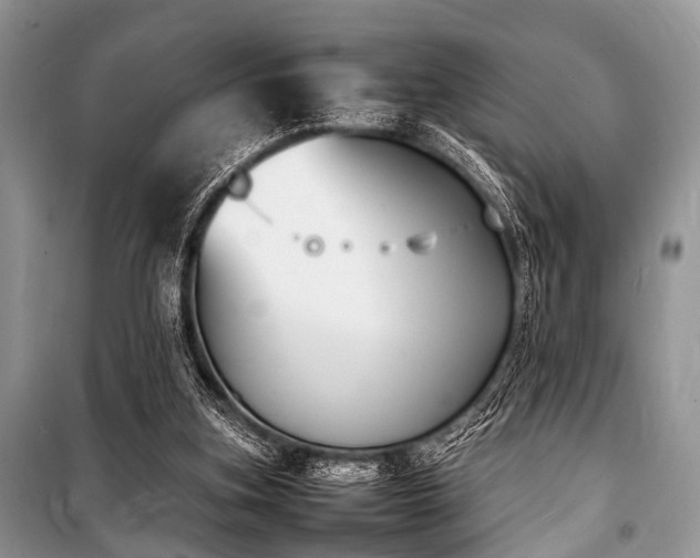 X0000100980155200806241552